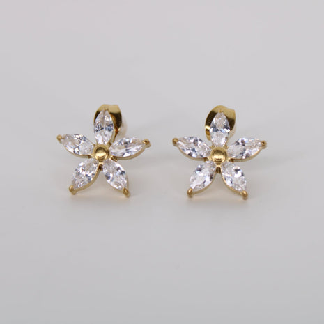 Clous d'oreilles Lyra